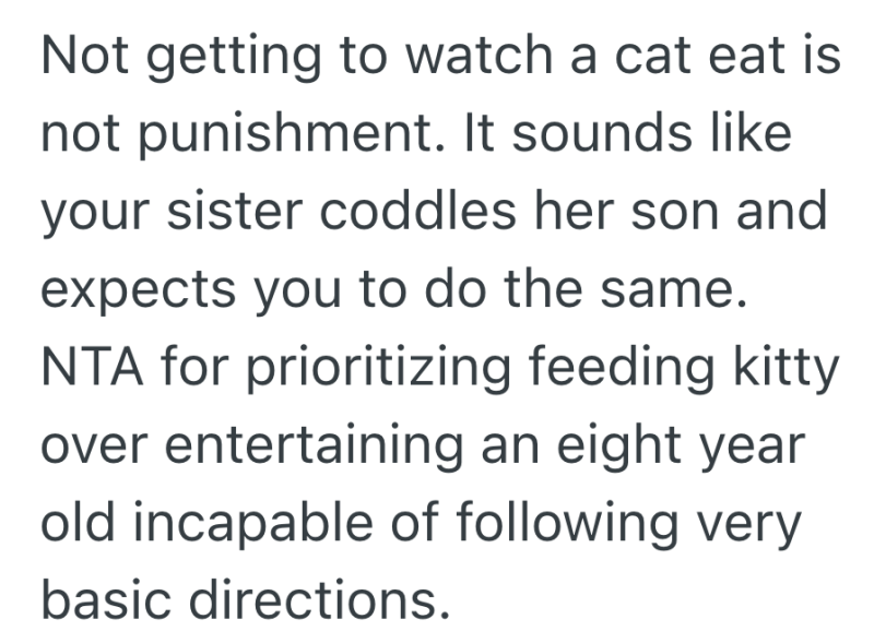 Screenshot 2025 11 05 at 9.03.48 AM e1762351539901 Uncle Feeds Neighborhood Cat Without Calling His Nephew After the Boy Scared It Away Once, And Now the Family Says He Went Too Far