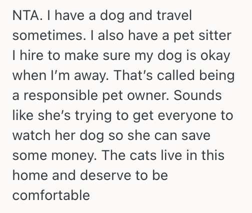 Screenshot 2025 11 06 at 5.19.18 PM Woman Agreed To Help Watch Her Brother’s Dog During His Honeymoon, But She Thinks Its Not An Ideal Situation For Her Parents And Their Cats