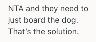 Screenshot 2025 11 06 at 5.20.45 PM Woman Agreed To Help Watch Her Brother’s Dog During His Honeymoon, But She Thinks Its Not An Ideal Situation For Her Parents And Their Cats
