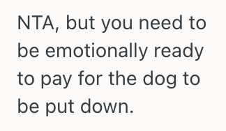 Screenshot 2025 11 06 at 5.56.52 PM Her Mother Asked Her To Pay For Their Dogs Expensive Surgery, But This Woman Said No Because She Doesnt Want More Debt In Her Name