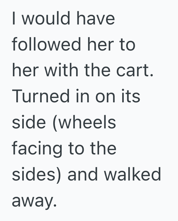 Screenshot 2025 11 07 at 3.11.33 PM A Man Was Mistaken For A Store Employee By A Rude Shopper, So He Followed Her And Blocked Her Car With Her Cart