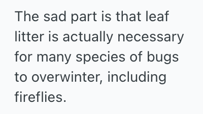 Screenshot 2025 11 11 at 11.33.28 AM Her Neighbor Has A Weird Dislike For Leaves On Her Property, And Would Constantly Complain To Her, So She Found A Petty Way To Make Her Stop