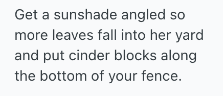 Screenshot 2025 11 11 at 11.34.14 AM Her Neighbor Has A Weird Dislike For Leaves On Her Property, And Would Constantly Complain To Her, So She Found A Petty Way To Make Her Stop