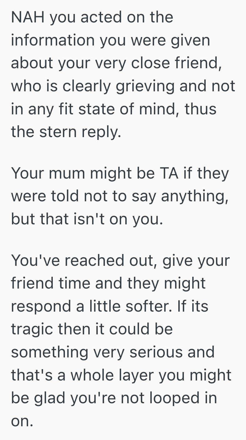 Screenshot 2025 11 11 at 12.23.19 PM Woman Reached Out To Comfort Her Best Friend After A Tragic Accident, So She Was Hurt When Her Message Was Met With Anger Instead Of Gratitude