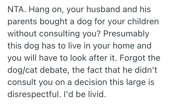 Screenshot 2025 11 13 at 10.09.25 PM Womans Husband Made Lots Of Excuses About Why They Shouldnt Get A Cat, But Then He Brought Home A Puppy Without Even Asking Her First