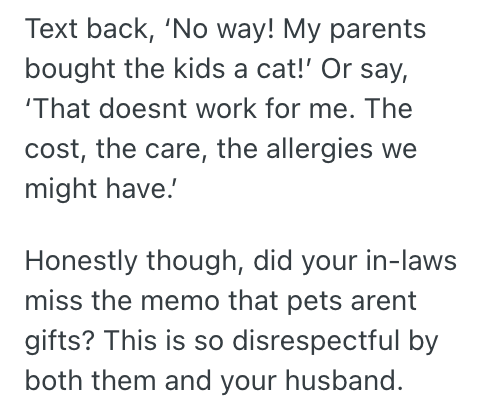 Screenshot 2025 11 13 at 10.10.14 PM Womans Husband Made Lots Of Excuses About Why They Shouldnt Get A Cat, But Then He Brought Home A Puppy Without Even Asking Her First