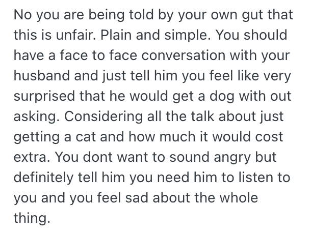 Screenshot 2025 11 13 at 10.10.50 PM Womans Husband Made Lots Of Excuses About Why They Shouldnt Get A Cat, But Then He Brought Home A Puppy Without Even Asking Her First