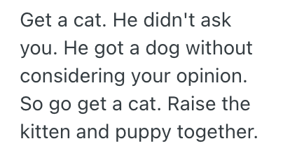 Screenshot 2025 11 13 at 10.11.21 PM Womans Husband Made Lots Of Excuses About Why They Shouldnt Get A Cat, But Then He Brought Home A Puppy Without Even Asking Her First