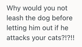 Screenshot 2025 11 13 at 9.41.36 PM Man Let Roommates Dog Out Of The Bedroom Since It Wouldnt Stop Barking, But Now He Wants Him To Rehome The Dog