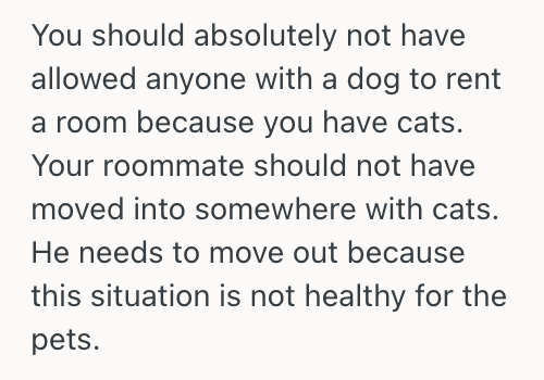 Screenshot 2025 11 13 at 9.42.11 PM Man Let Roommates Dog Out Of The Bedroom Since It Wouldnt Stop Barking, But Now He Wants Him To Rehome The Dog