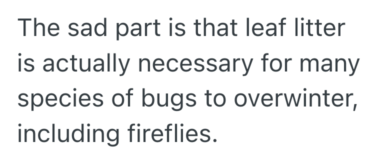 Screenshot 2025 11 22 at 8.44.10 PM Residents Neighbor Is A Chronic Complainer And Wields Her Leaf Blower Like A Chainsaw, So She Hid Dryer Sheets Around To Irritate Her Sensitive Nose
