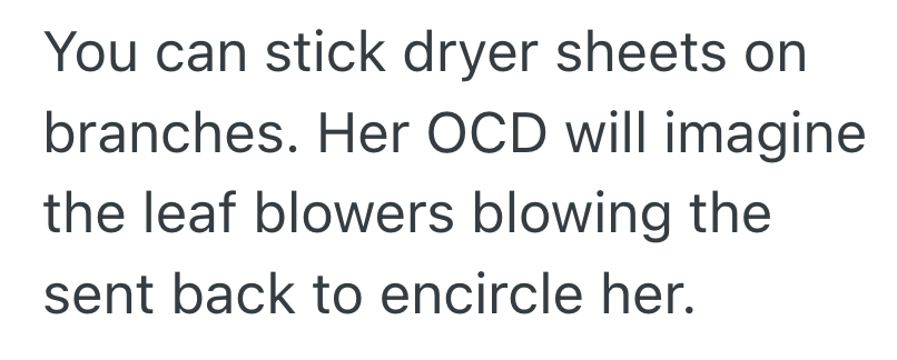 Screenshot 2025 11 22 at 8.44.49 PM Residents Neighbor Is A Chronic Complainer And Wields Her Leaf Blower Like A Chainsaw, So She Hid Dryer Sheets Around To Irritate Her Sensitive Nose