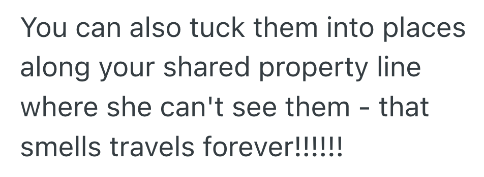 Screenshot 2025 11 22 at 8.45.36 PM Residents Neighbor Is A Chronic Complainer And Wields Her Leaf Blower Like A Chainsaw, So She Hid Dryer Sheets Around To Irritate Her Sensitive Nose