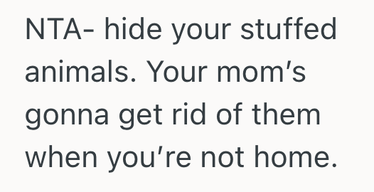 Screenshot 2025 11 23 at 3.28.39 PM Teenage Girl Has A Stuffed Animal Collection That Means A Lot To Her, But Her Mom Wants Her To Give The Stuffed Animals To Her Cousins