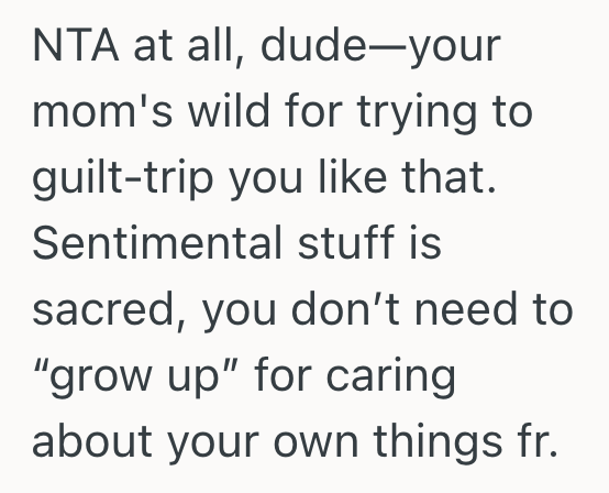 Screenshot 2025 11 23 at 3.29.06 PM Teenage Girl Has A Stuffed Animal Collection That Means A Lot To Her, But Her Mom Wants Her To Give The Stuffed Animals To Her Cousins