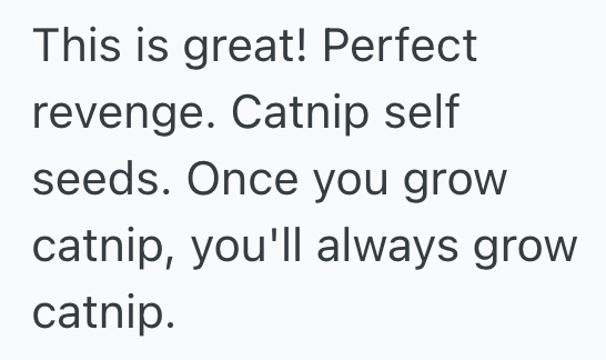 Screenshot 2025 11 24 at 11.19.55 AM Upset Woman Plants Catnip In Her Exs Garden, But She Never Expected The Whole Yard To Be Overtaken