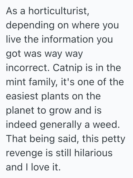 Screenshot 2025 11 24 at 11.20.50 AM Upset Woman Plants Catnip In Her Exs Garden, But She Never Expected The Whole Yard To Be Overtaken