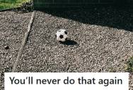 Homeowner Got Fed Up With Neighbors’ Teen Sons Constantly Losing Balls In His Yard, So He Let The Landscaper Keep One And The Problem Stopped Immediately