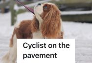 Dog Owner Alarmed By Speeding Cyclist Tries To Calm His Agitated Dogs, But The Cyclist Blames Their Hostile Run-In On The Pooches