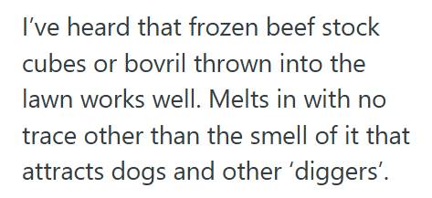 The Grass Homeowner Gets Reported To Police Over His Pollinator Patch, So He Teaches His Lawn Obsessed Neighbor A Wet, Hilarious Lesson