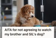 Woman Agreed To Help Watch Her Brother’s Dog During His Honeymoon, But She Thinks It’s Not An Ideal Situation For Her Parents And Their Cats