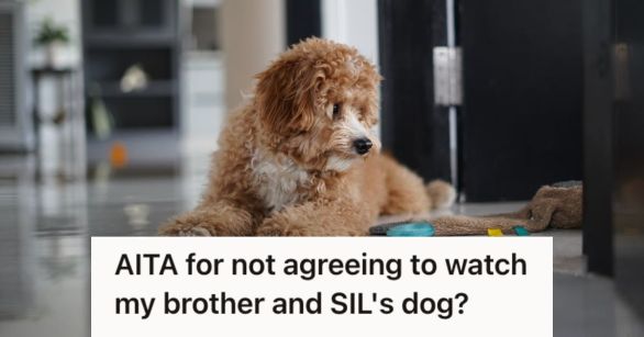 Goldendoodle dog making a mess at home