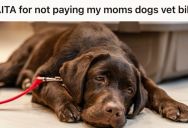 Her Mother Asked Her To Pay For Their Dog’s Expensive Surgery, But This Woman Said No Because She Doesn’t Want More Debt In Her Name