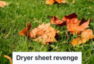 Her Neighbor Has A Weird Dislike For Leaves On Her Property, And Would Constantly Complain To Her, So She Found A Petty Way To Make Her Stop