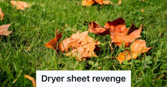 Dried leaves on the grass