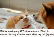 Man Let Roommate’s Dog Out Of The Bedroom Since It Wouldn’t Stop Barking, But Now He Wants Him To Rehome The Dog