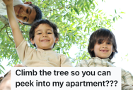 College Student Is Furious When Kids Climb A Tree And Look In Her Apartment Window, So She Goes To The Grocery Store To Get Supplies To Stop Them