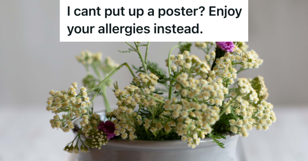 potted ragweed plant