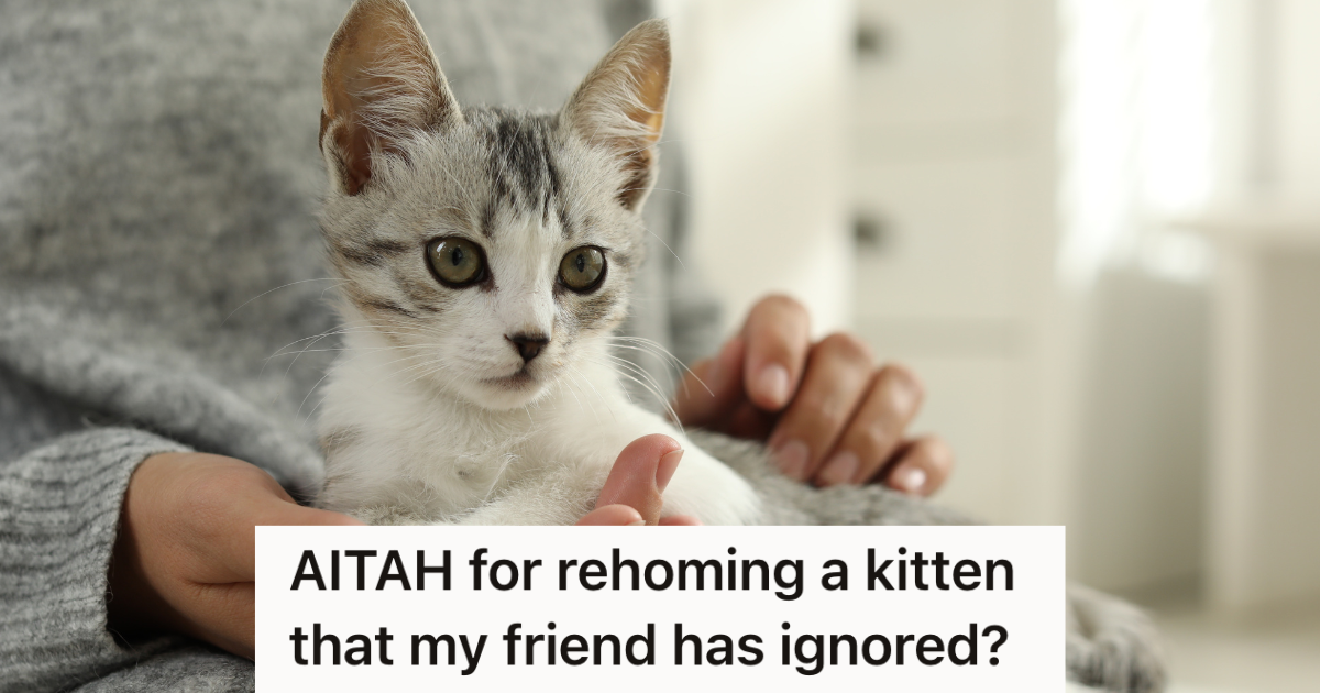 Woman Gives Kittens To Her Friends And Coworkers, But She Rehomes One Of The Kittens When One Employee Proves To Be A Bad Owner closeup of woman holding a gray and white kitten