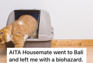 Roommate Agreed To Cat Sit For His Landlord While He Was On Vacation, But He Didn’t Expect The Litter Box To Have Bugs In It