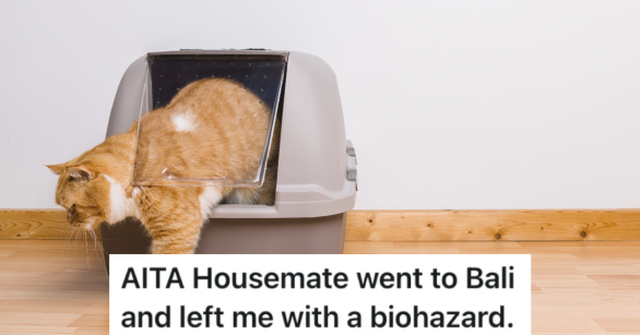 orange and white cat climbing out of litter box