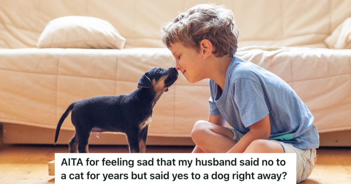 puppy licking little boy's nose