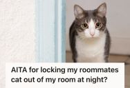 Woman Locked Her Bedroom Door At Night To Keep Her Roommate’s Cat Out, But She Was Accused Of Being Cruel