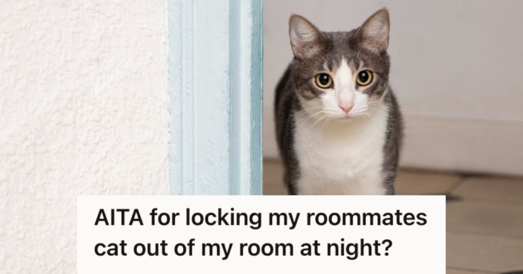 Cat standing beside a wall