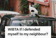 His Cat Climbed On The Hood Of His Neighbor’s Car, And Now His Neighbor Is Worried The Cat Might Scratch The Vehicle
