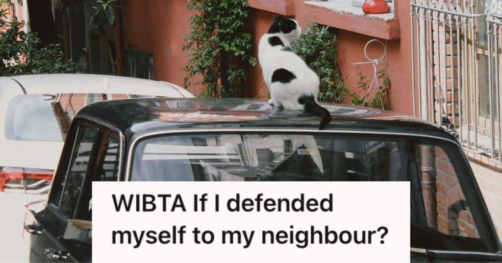 Cat sitting on the roof of a car