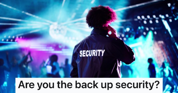 music concert security