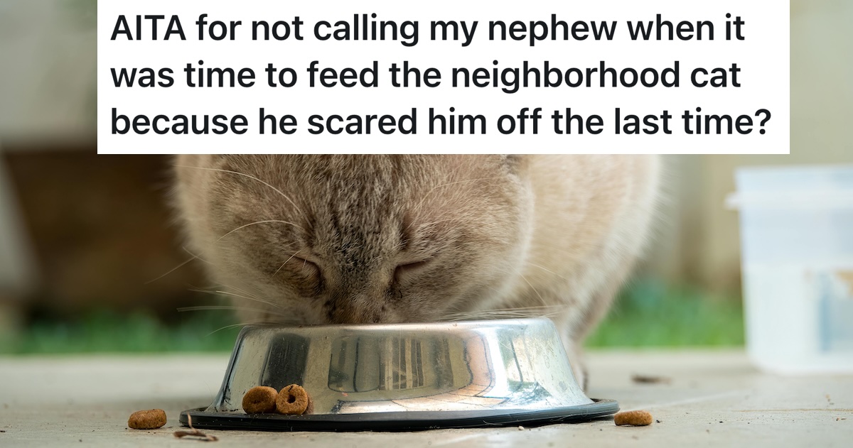 Uncle Feeds Neighborhood Cat Without Calling His Nephew After the Boy Scared It Away Once, And Now the Family Says He Went Too Far