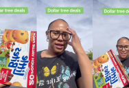 ‘A 20-pack, $1.50!’ – Dollar Tree Customer Loved The Deal She Found At The Store, But It Didn’t Last Long