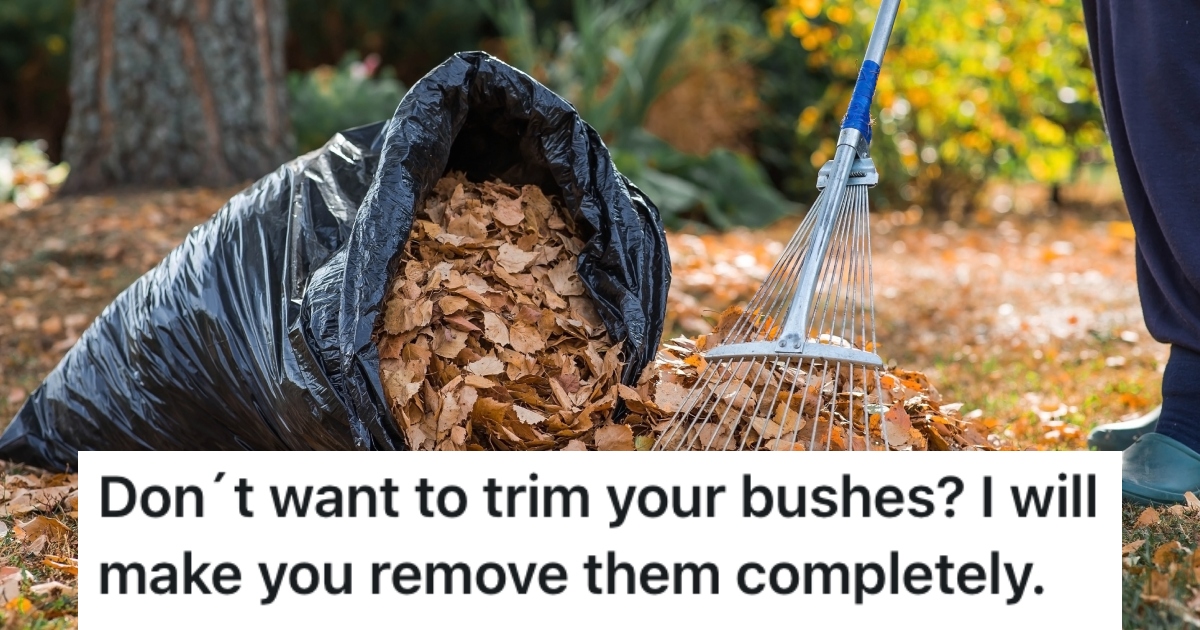 person raking leaves in yard