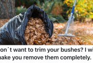 A Homeowner’s Neighbor Wouldn’t Stop All The Leaves From Their Garden Falling Into Her Yard, So They Learned About The Local Regulations And The Neighbor Had To Tear Their Garden Down