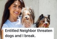 A Person’s Neighbor Threatened Them and Their Barking Dogs, So They Compiled Incriminating Information Against Him and the Apartment Complex’s Owners Evicted Him