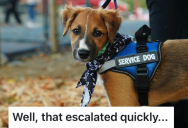 A Crazy Customer Confronted A Veteran With A Service Animal Because She Thought He Worked There, So He Decided To Mess With Her Back And Made The Situation Uncomfortable