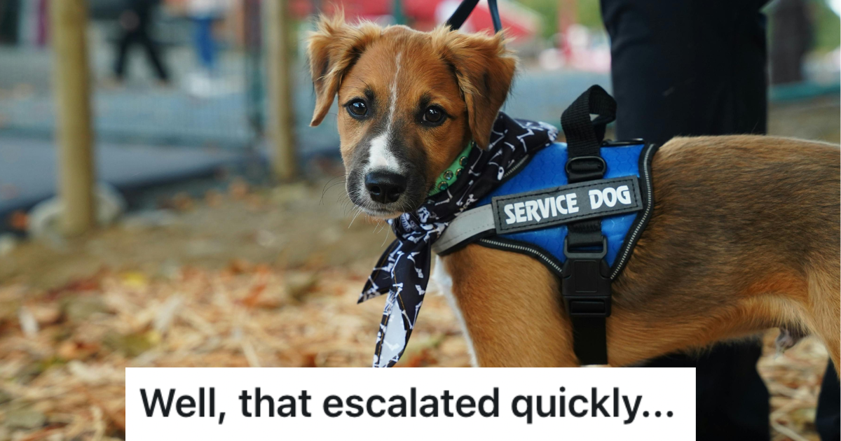Puppy with service dog vest and bandana on.