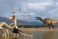 Fossilized Regurgitalite Tells An Amazing Story Of The Last Moments Of A Filter-Feeding Pterosaur