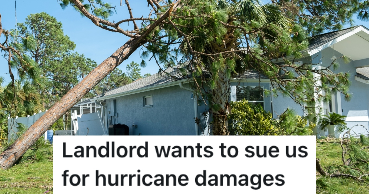 house hit by fallen tree